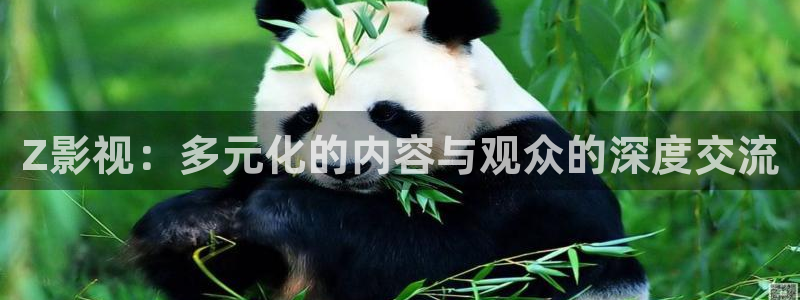 北京麥田：Z影視：多元化的內(nèi)容與觀眾的深度交流
