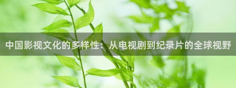 麥田影視免費高清觀看電視劇：中國影視文化的多樣性：從電視劇到紀錄片的全球視野